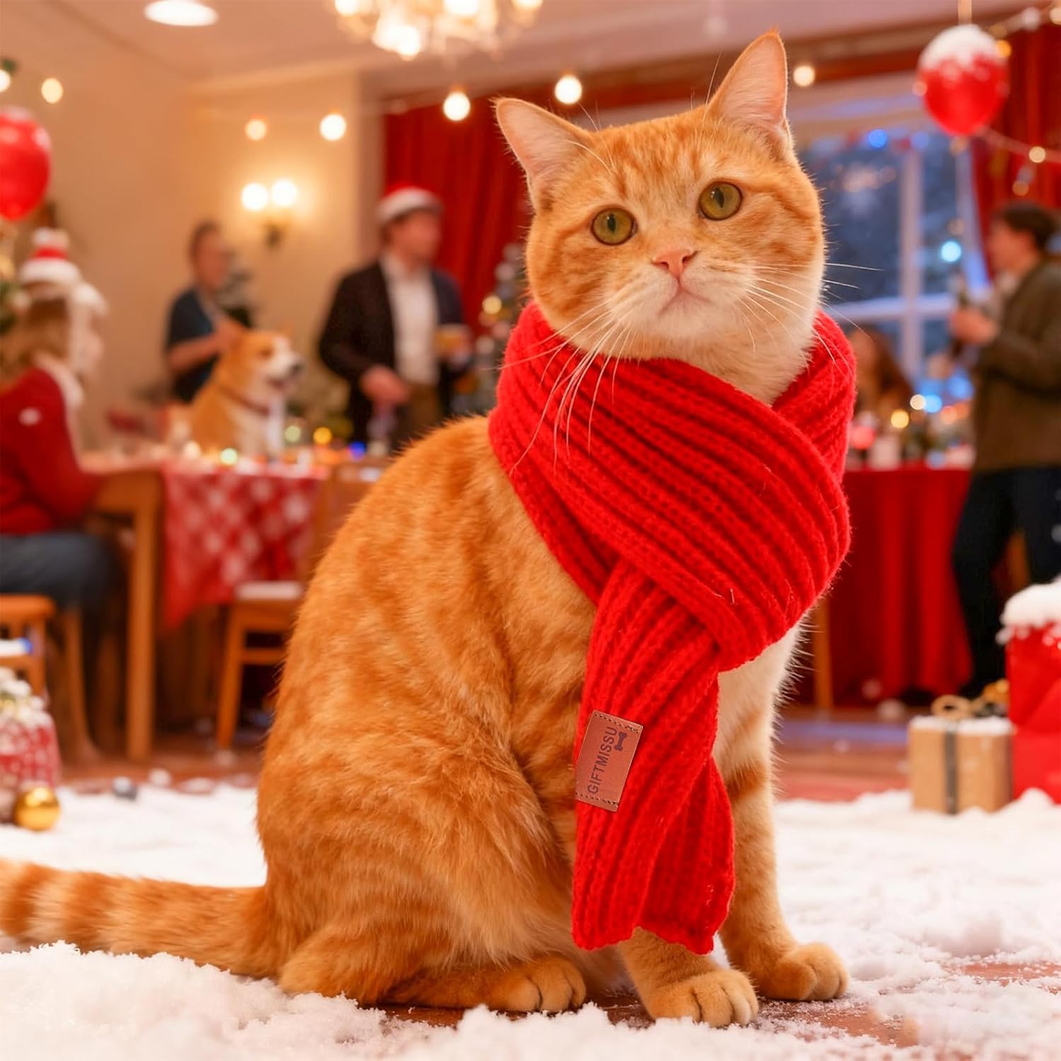 Keep Your Furry Friend Cozy with These Winter Scarves!