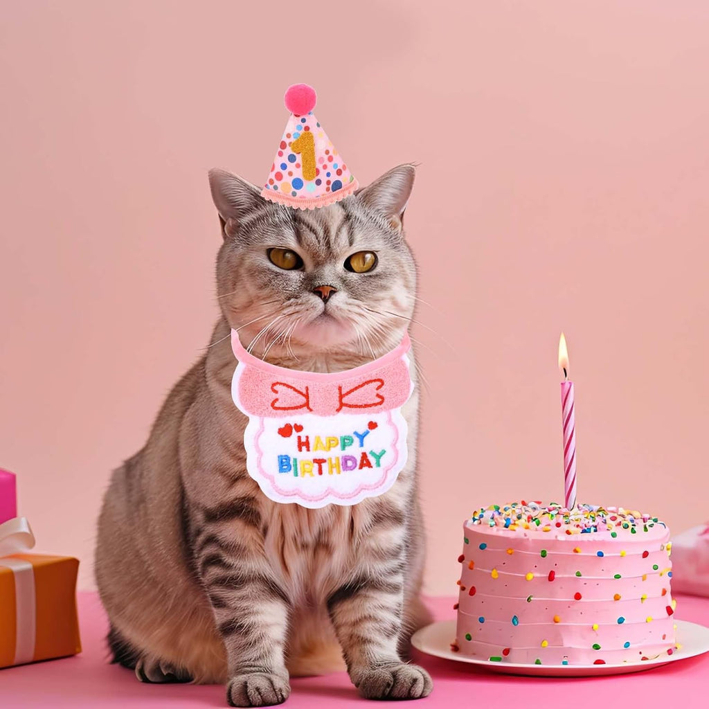 Cat Birthday Outfit Hat and Bib, Cute Pink Girl Kitten Cats Birthday Bandana Set, Adjustable Embroidered Colorful Dot Pet Birthday' Outfits, Cat Party Hats with Dot Hat, 9 Numbers & Scarf