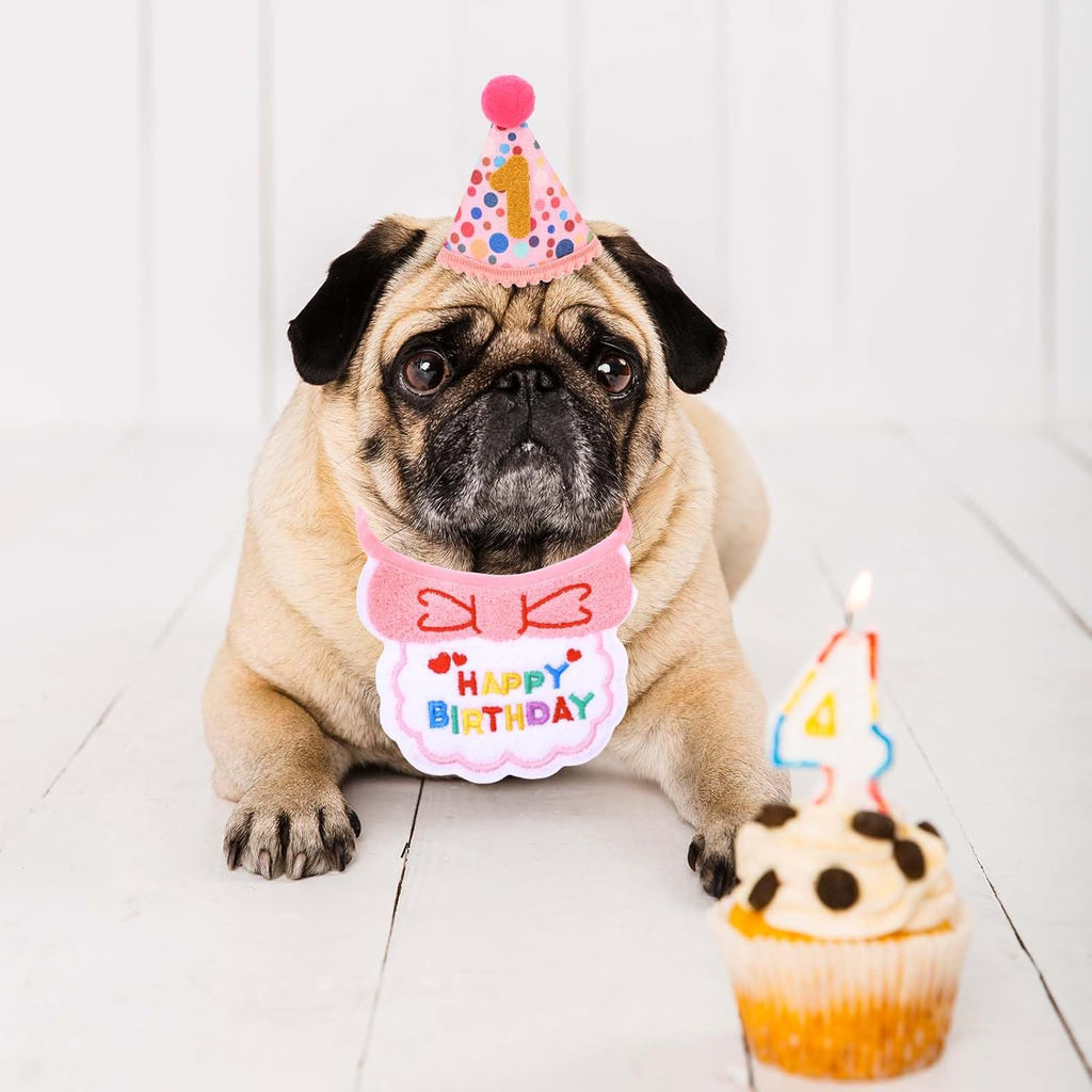 Cat Birthday Outfit Hat and Bib, Cute Pink Girl Kitten Cats Birthday Bandana Set, Adjustable Embroidered Colorful Dot Pet Birthday' Outfits, Cat Party Hats with Dot Hat, 9 Numbers & Scarf