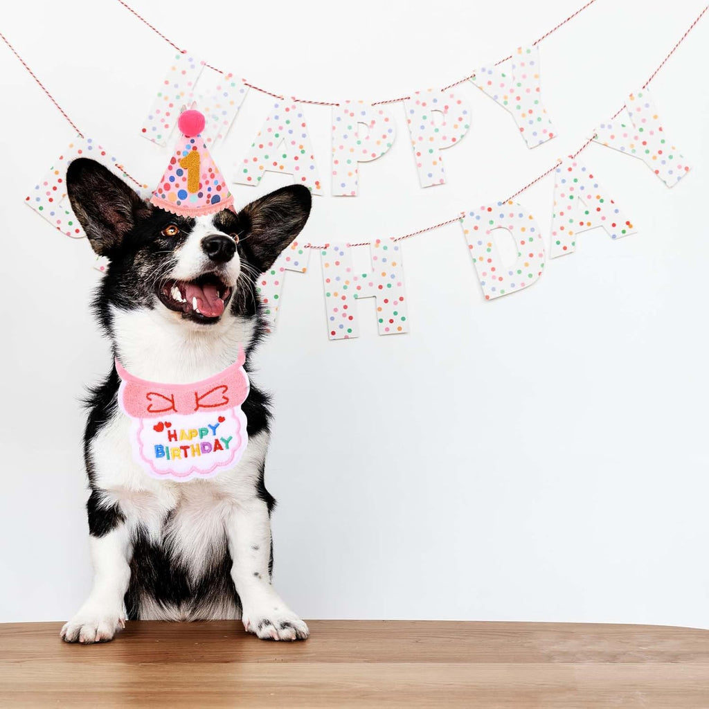 Cat Birthday Outfit Hat and Bib, Cute Pink Girl Kitten Cats Birthday Bandana Set, Adjustable Embroidered Colorful Dot Pet Birthday' Outfits, Cat Party Hats with Dot Hat, 9 Numbers & Scarf