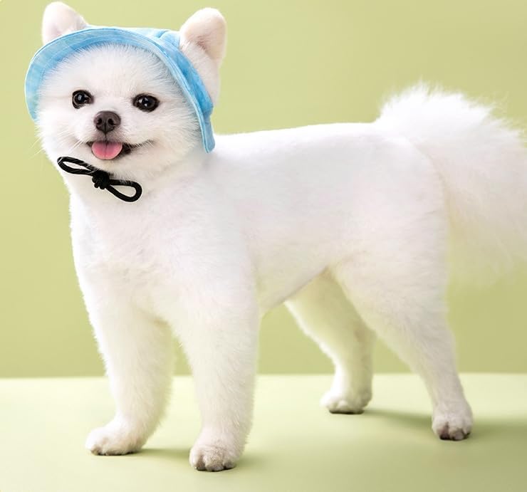 Cat Clothes for Cats Sunbonnet for Dogs Funny Male Dog Sun Hat Printed Pet Sun Protection Small Dog Hats for Boys S