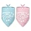 2 Packs Big Sister Dog Bandana Pregnancy Announcement Baby Security in Training Pink Dog Bandana Baby Announcement Pet Triangle Scarf Accessories for Small Medium Large Dogs Cats