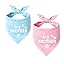 2 Pack Big Brother Dog Bandana Baby Announcement Dogs Bandanas Gender Reveal Big Brother Bandana for Dog Pet Scarf Accessories for Pet Dog Lovers Gifts (Blue)