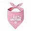 2 Pack Big Brother Dog Bandana Baby Announcement Dogs Bandanas Gender Reveal Big Brother Bandana for Dog Pet Scarf Accessories for Pet Dog Lovers Gifts (Blue)