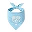 2 Pack Big Brother Dog Bandana Baby Announcement Dogs Bandanas Gender Reveal Big Brother Bandana for Dog Pet Scarf Accessories for Pet Dog Lovers Gifts (Blue)