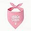 2 Pack Big Brother Dog Bandana Baby Announcement Dogs Bandanas Gender Reveal Big Brother Bandana for Dog Pet Scarf Accessories for Pet Dog Lovers Gifts (Blue)