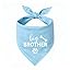 2 Pack Big Brother Dog Bandana Baby Announcement Dogs Bandanas Gender Reveal Big Brother Bandana for Dog Pet Scarf Accessories for Pet Dog Lovers Gifts (Blue)
