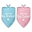 2 Packs Big Sister Dog Bandana Pregnancy Announcement Baby Security in Training Pink Dog Bandana Baby Announcement Pet Triangle Scarf Accessories for Small Medium Large Dogs Cats