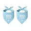 2 Pack Big Brother Dog Bandana Baby Announcement Dogs Bandanas Gender Reveal Big Brother Bandana for Dog Pet Scarf Accessories for Pet Dog Lovers Gifts (Blue)