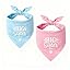 2 Pack Big Brother Dog Bandana Baby Announcement Dogs Bandanas Gender Reveal Big Brother Bandana for Dog Pet Scarf Accessories for Pet Dog Lovers Gifts (Blue)