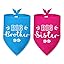 2 Packs Big Sister Dog Bandana Pregnancy Announcement Baby Security in Training Pink Dog Bandana Baby Announcement Pet Triangle Scarf Accessories for Small Medium Large Dogs Cats