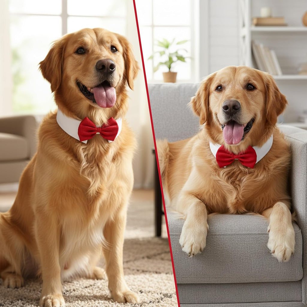 2 PCS Adjustable Dog Bow Tie Length 3.54inch Width 2.36inch Cotton Dog Collar Bow Tie for Dogs for Wedding Birthday Party Cosplay Christmas Halloween Pets Grooming Dogs Bowtie(Black, Red)