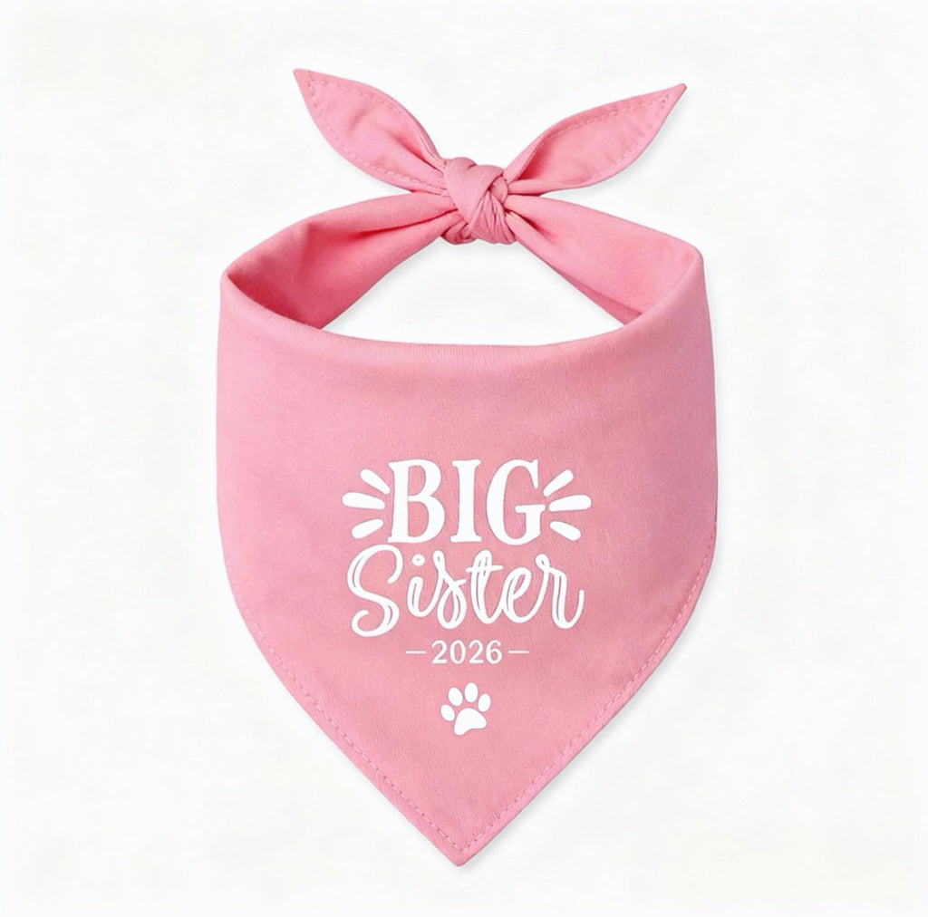 2 Pack Big Brother Dog Bandana Baby Announcement Dogs Bandanas Gender Reveal Big Brother Bandana for Dog Pet Scarf Accessories for Pet Dog Lovers Gifts (Blue)