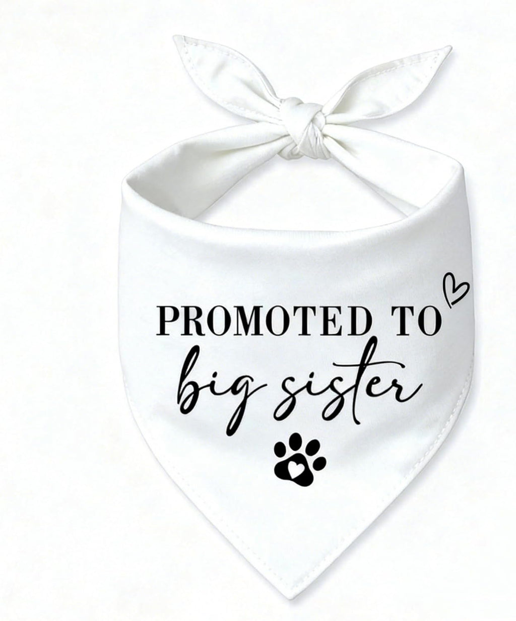 2 Pack Big Brother Dog Bandana Baby Announcement Dogs Bandanas Gender Reveal Big Brother Bandana for Dog Pet Scarf Accessories for Pet Dog Lovers Gifts (Blue)