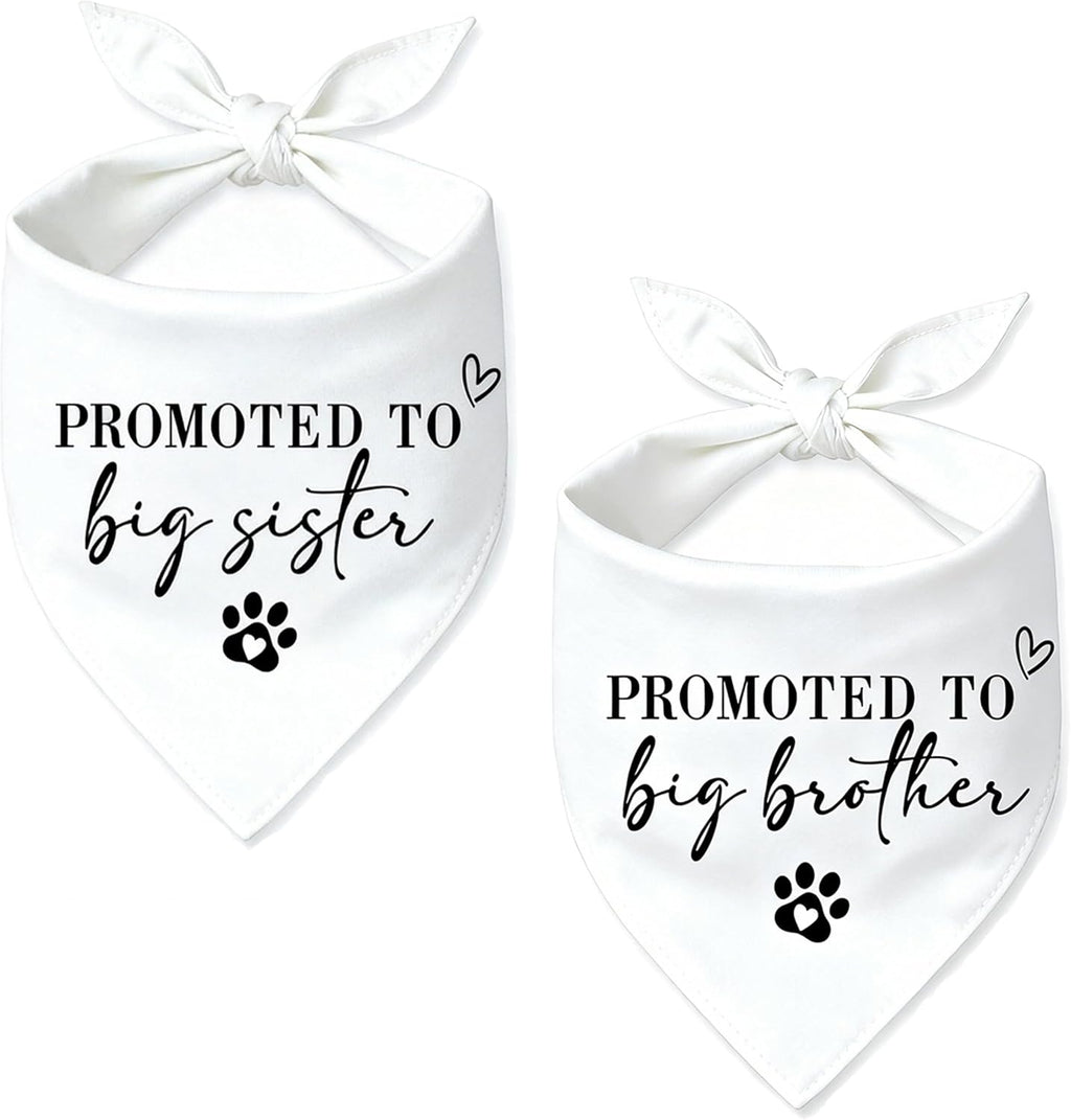 2 Pack Big Brother Dog Bandana Baby Announcement Dogs Bandanas Gender Reveal Big Brother Bandana for Dog Pet Scarf Accessories for Pet Dog Lovers Gifts (Blue)