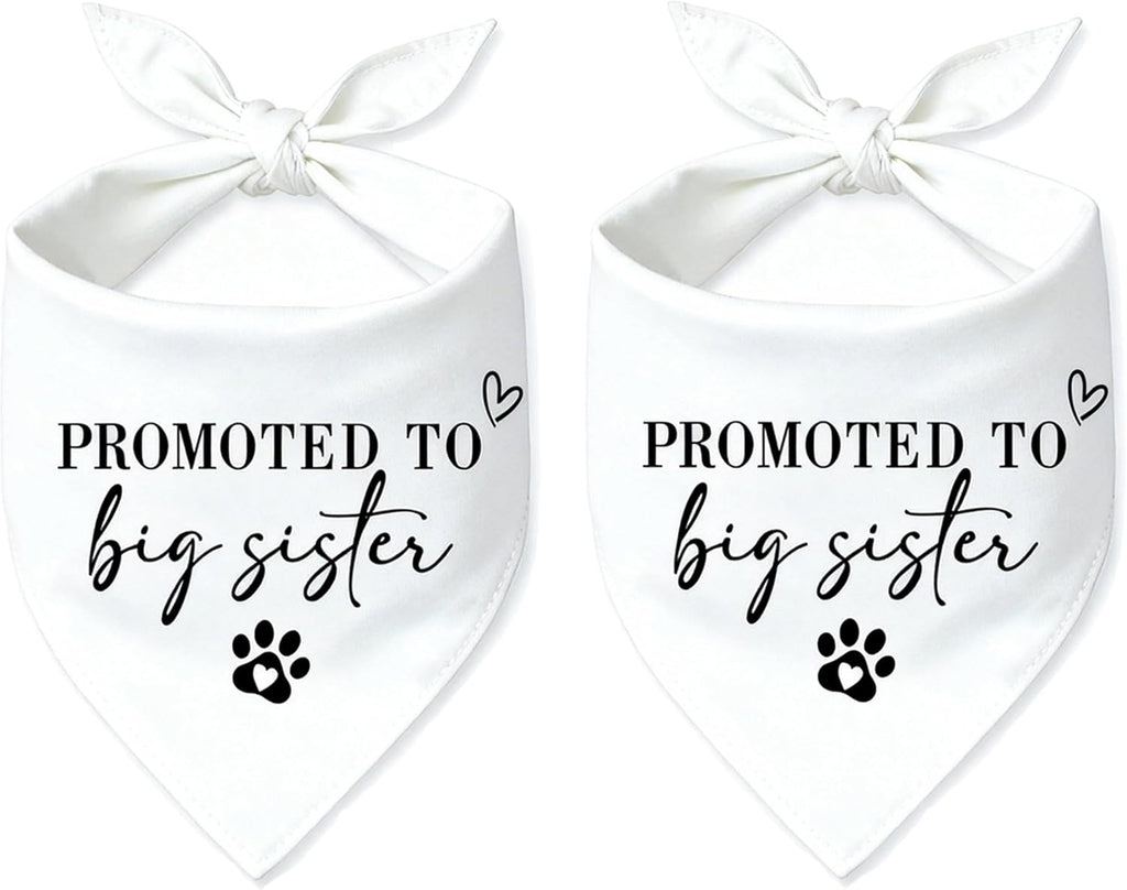2 Pack Big Brother Dog Bandana Baby Announcement Dogs Bandanas Gender Reveal Big Brother Bandana for Dog Pet Scarf Accessories for Pet Dog Lovers Gifts (Blue)