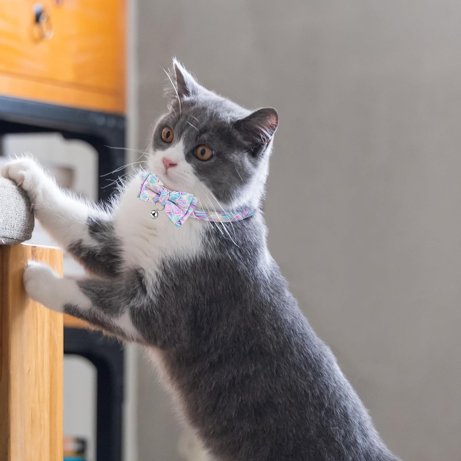 2PCS Cat Collar with Bell and Bow Tie, Breakaway Kitten Collar with Flower, Pet Collar with Safety Buckle for Girl Boy Kitten (7-11Inch)