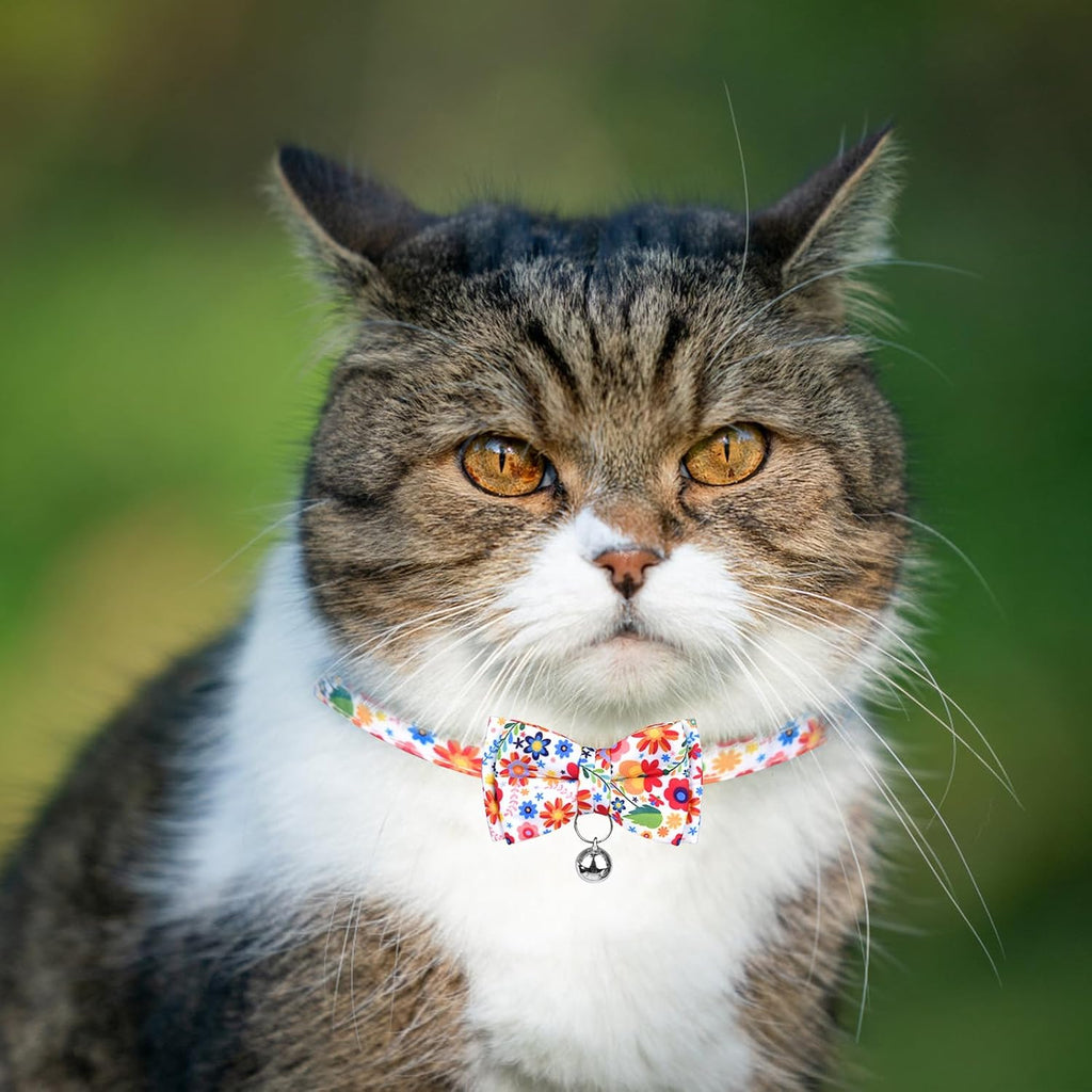 2PCS Cat Collar with Bell and Bow Tie, Breakaway Kitten Collar with Flower, Pet Collar with Safety Buckle for Girl Boy Kitten (7-11Inch)